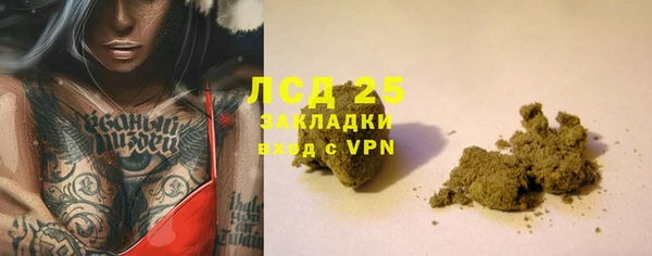 прущие крисы Бородино