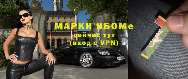прущие крисы Бородино