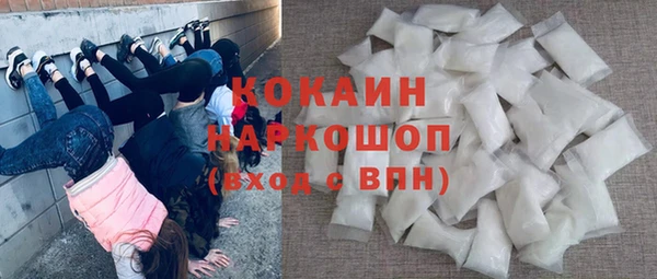 прущие крисы Бородино