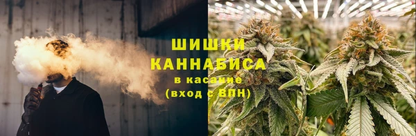 прущие крисы Бородино