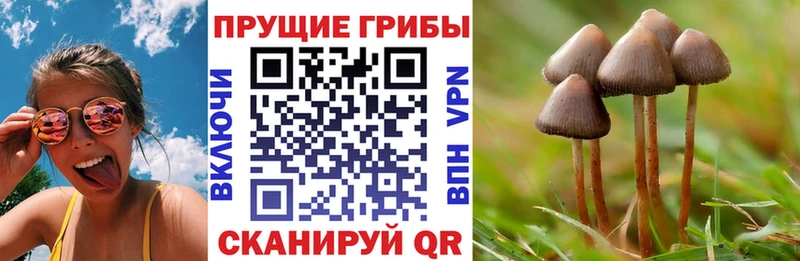 Галлюциногенные грибы прущие грибы  купить наркотик  Берёзовка 